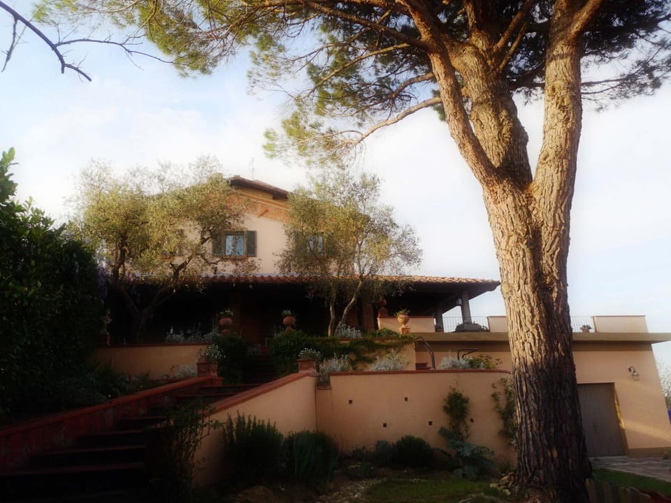 Property building, Garden