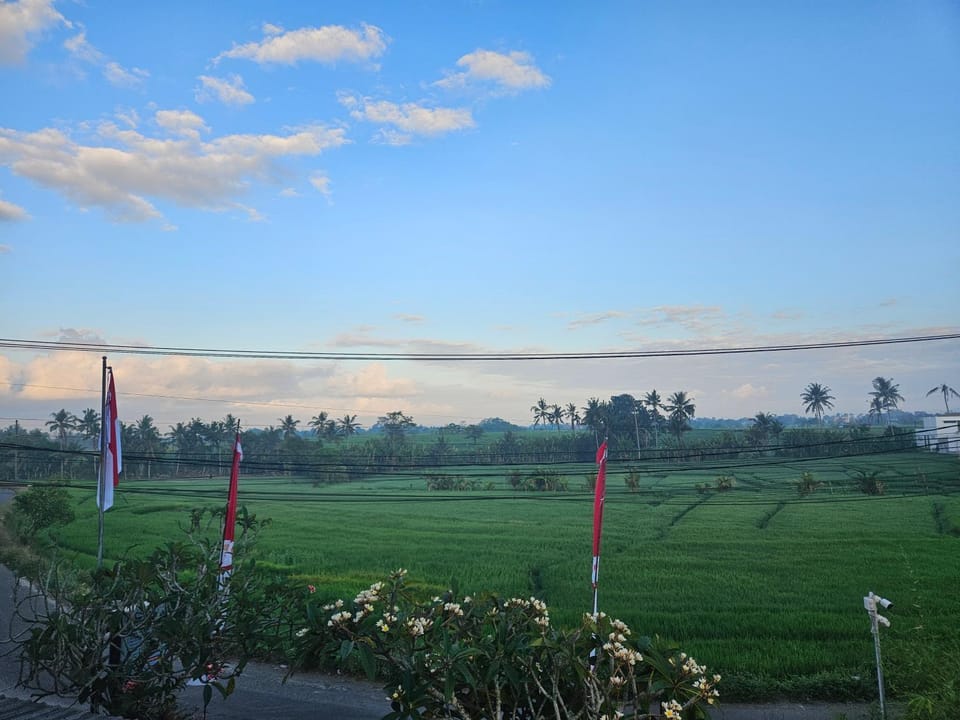 Day, Natural landscape, View (from property/room)