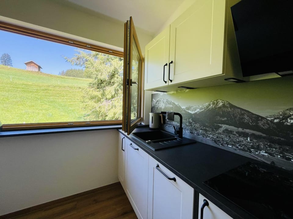 Kitchen or kitchenette, stove