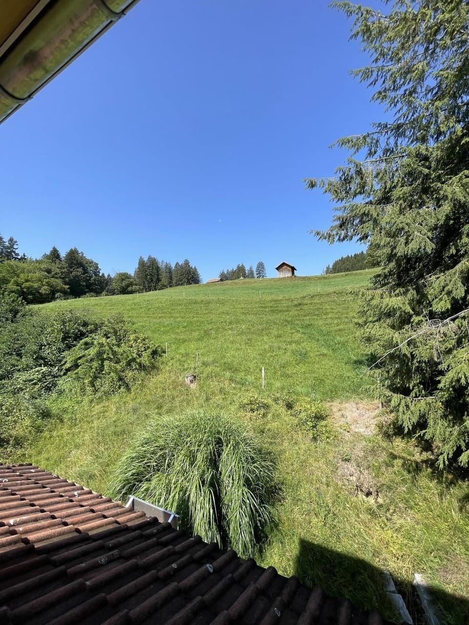 Day, Natural landscape