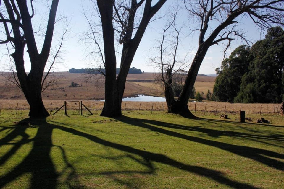 Lake view