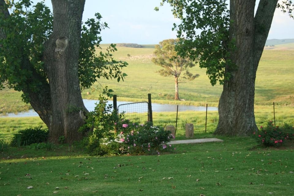 Spring, Day, Natural landscape, Garden, Lake view