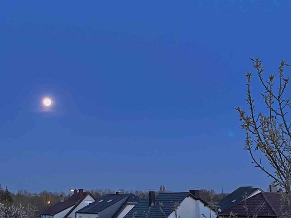 Cozy Loft Studio in quiet residential area Apartment in Strassen