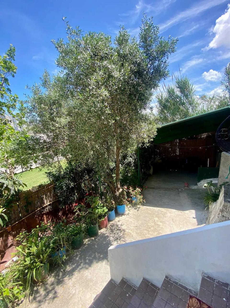 Garden, Garden, Garden view