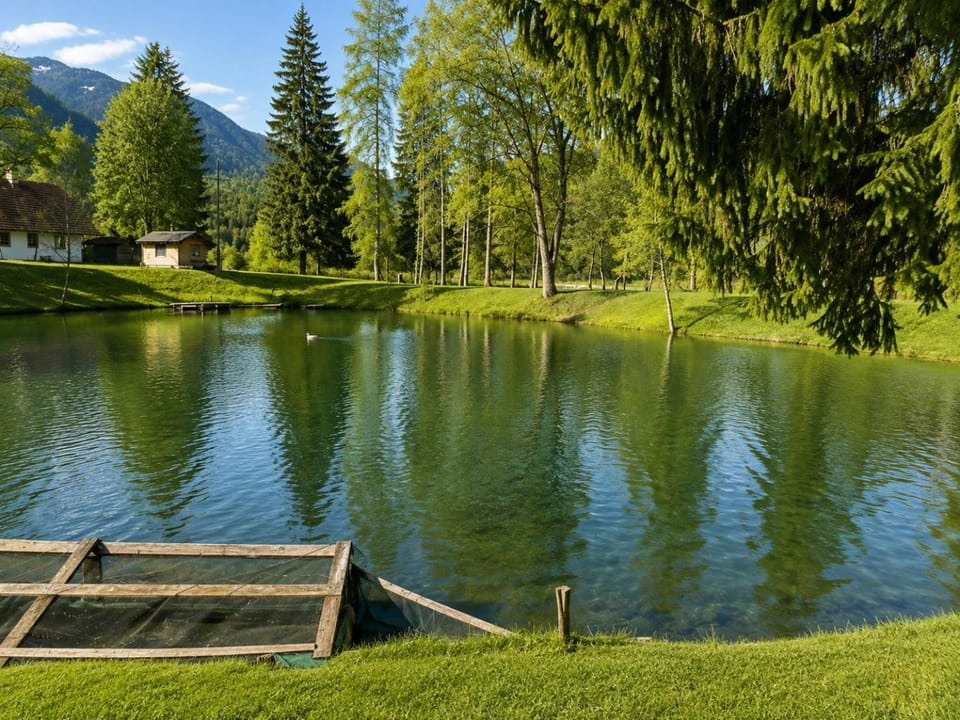 Ferienwohnung in Südkärnten Bergblick, Fischteich & Naturidylle Apartment in Carinthia, Austria