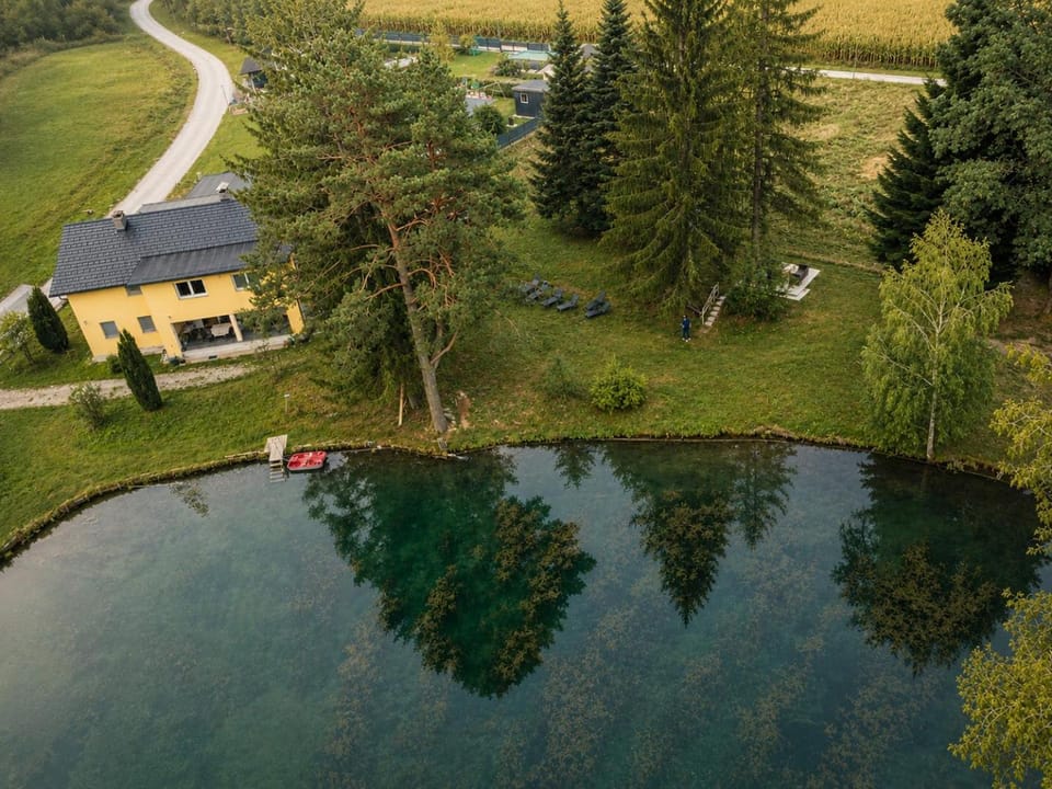 Haus mit Fischteich Natururlaub für Familien & Hunde Apartment in Carinthia, Austria