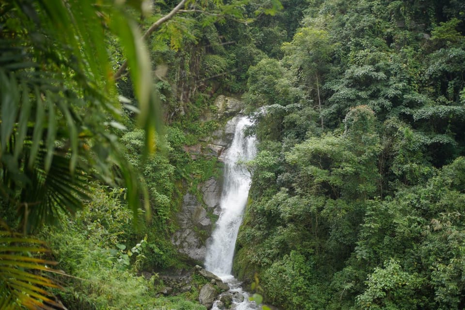 Natural landscape