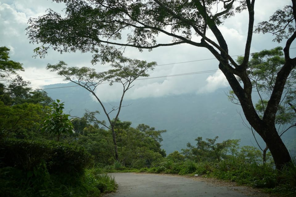 Neighbourhood, Natural landscape