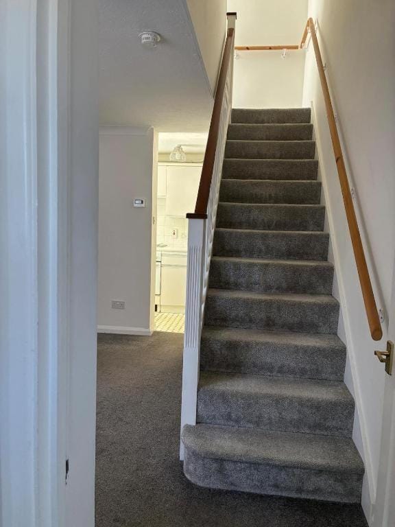 Modern 1-Bedroom House, Free Parking, Garden, Bus Links, Kitchen, Sky & Netflix House in Maidenhead