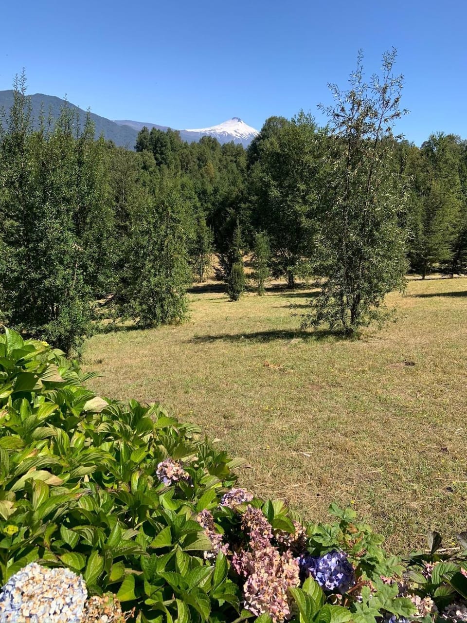 House with view to 3 volcanoes and swimming pool!! House in Pucon