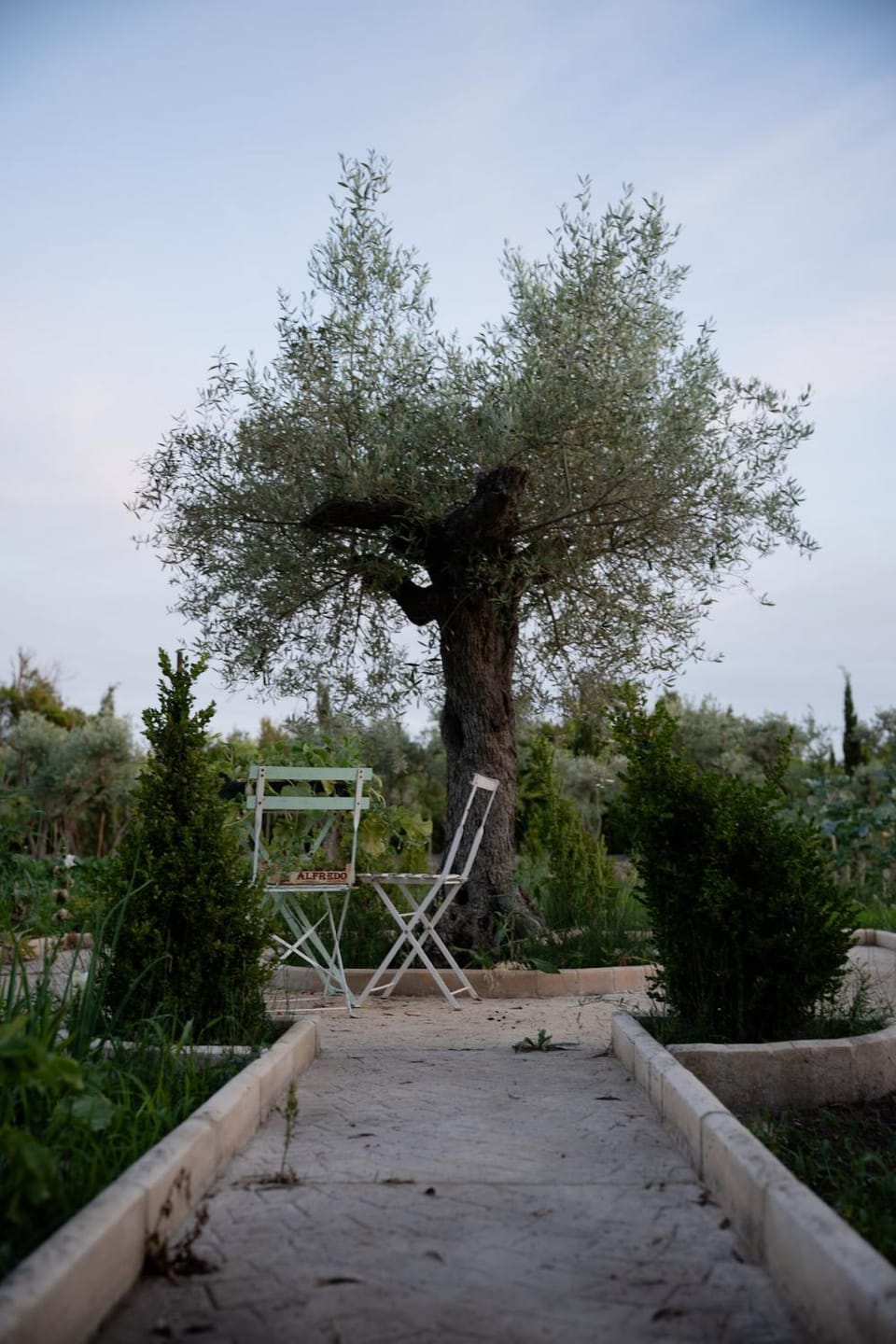 Mas Romainho Luxury and Charm in St Rémy Villa in Saint-Remy-de-Provence