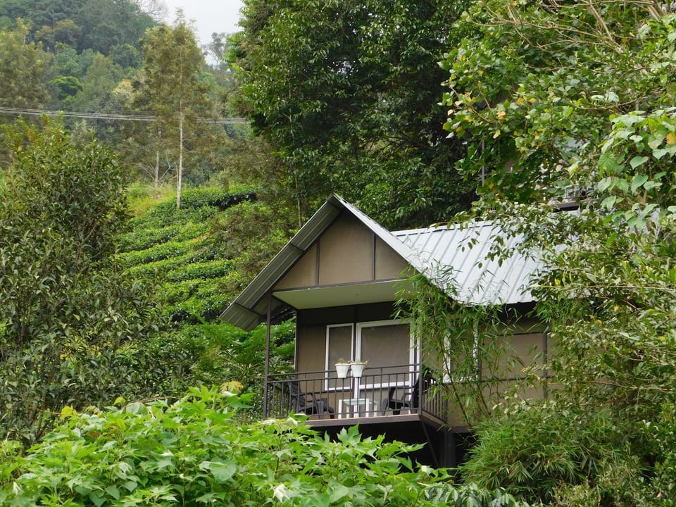 Moselberg Riverside Cottages Villa in Kerala