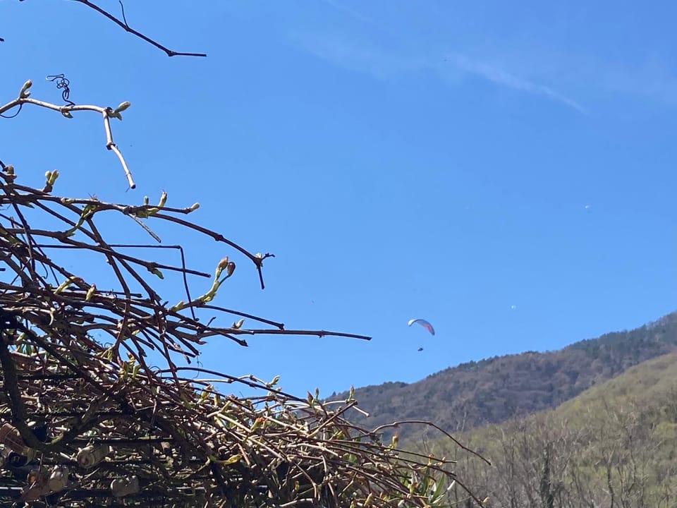 Natural landscape, View (from property/room), View (from property/room), Mountain view, Inner courtyard view