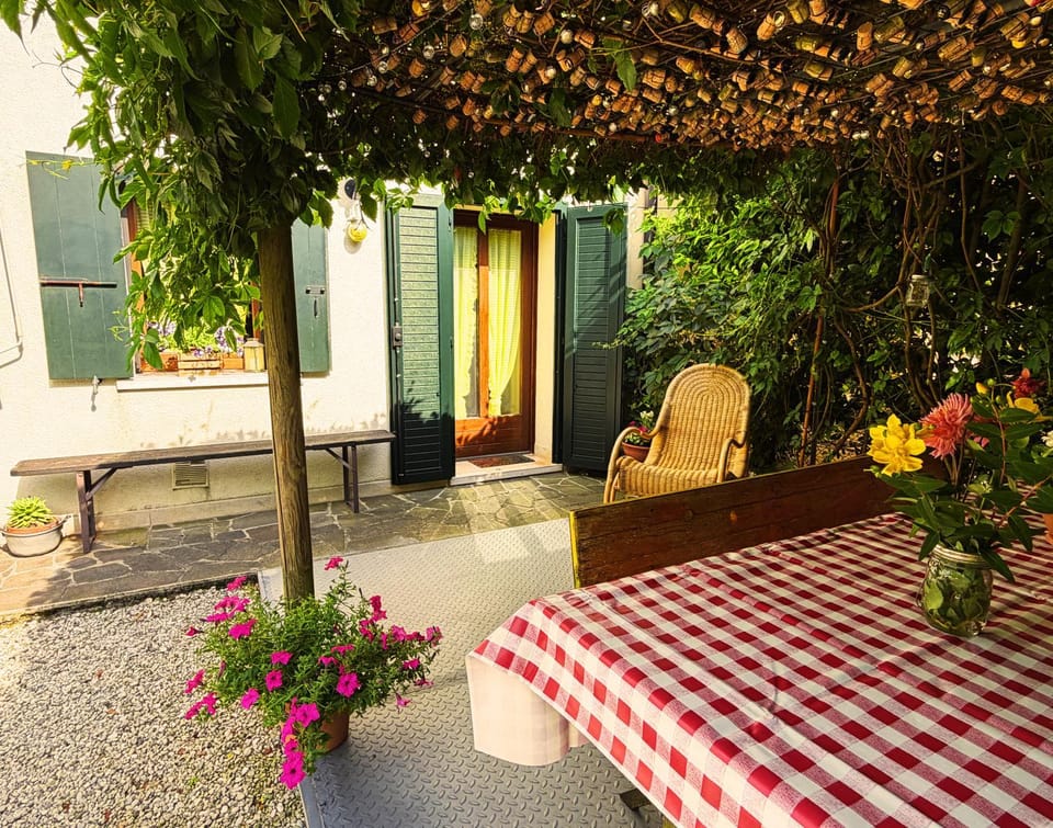 Patio, Garden, Garden view
