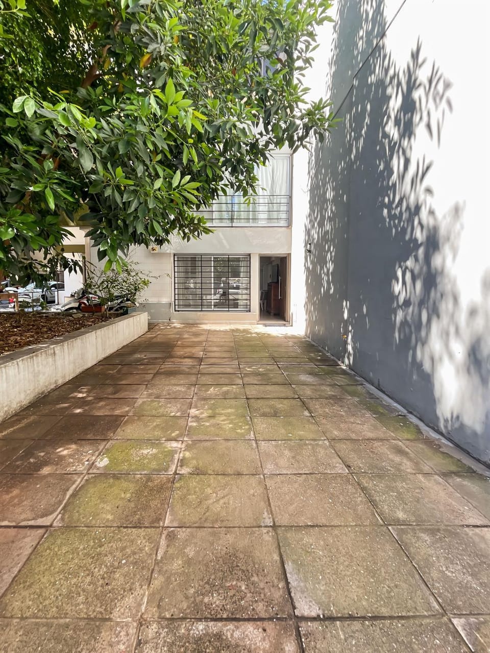 Patio, Garden