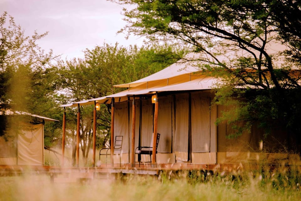 Serengeti House Of Nature Camp Luxury tent in Tanzania