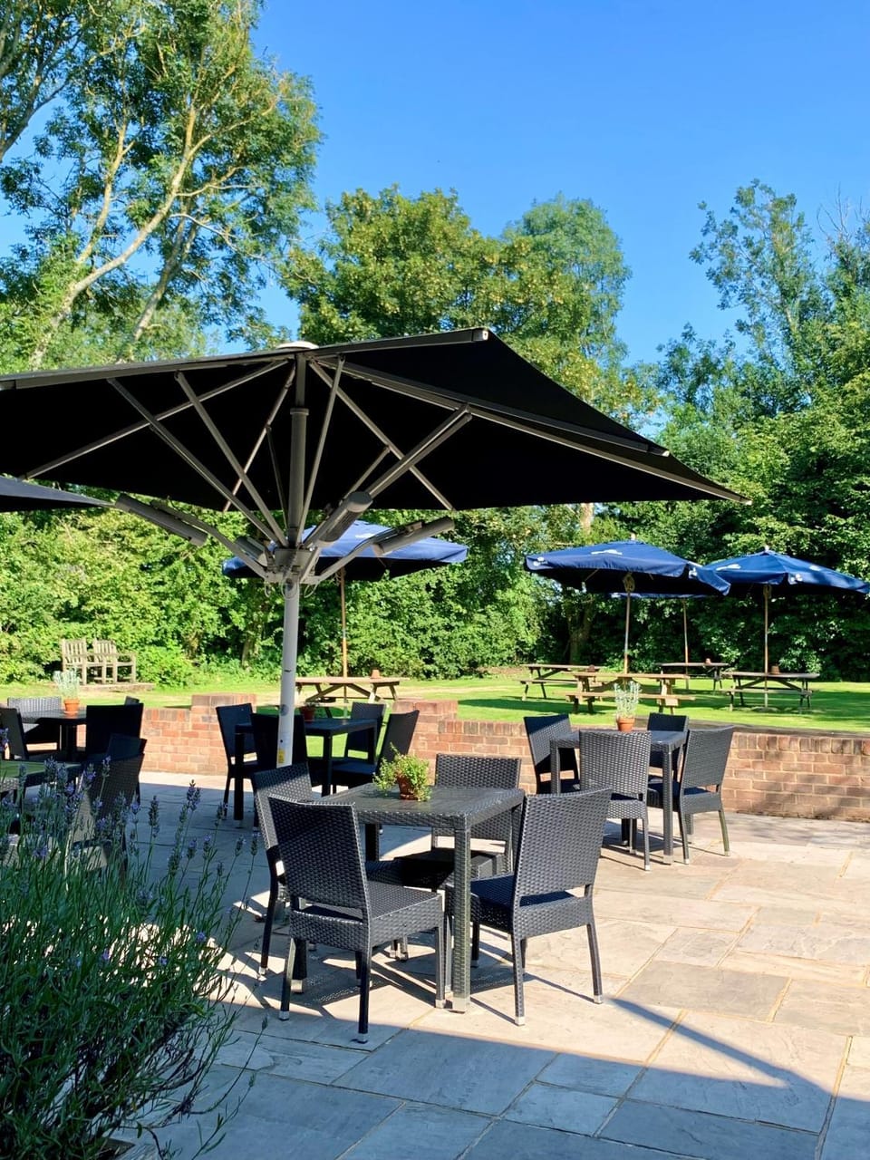 Patio, Garden, Garden view