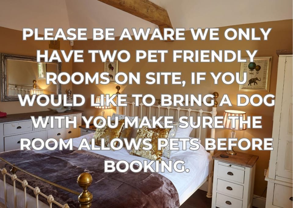 Bedroom, Pets