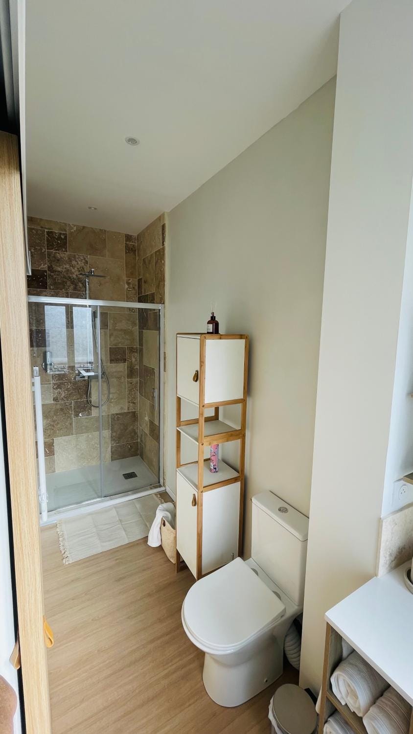 Shower, Toilet, Bathroom, towels