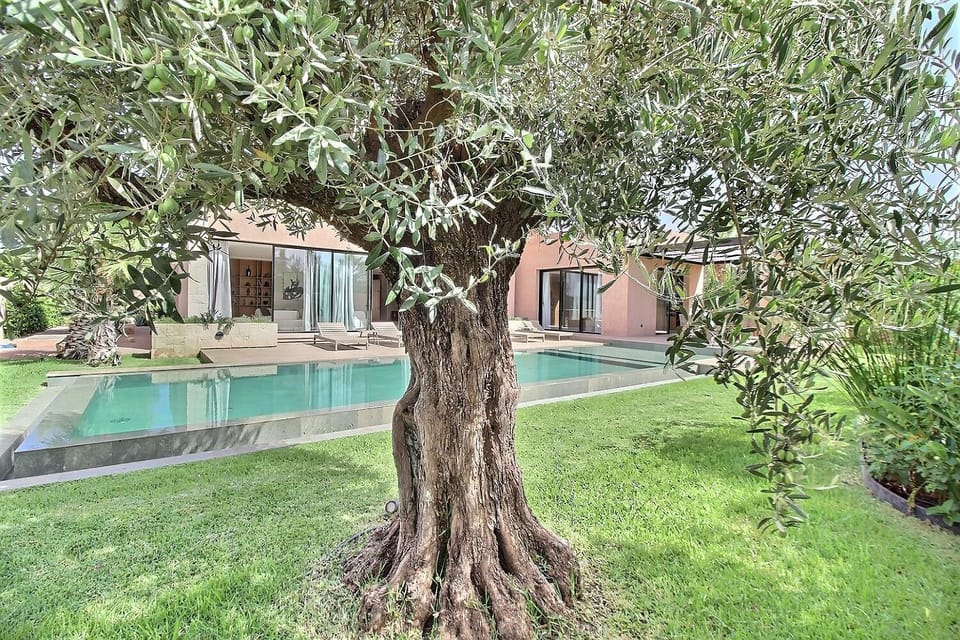 Villa Habiba Villa in Marrakesh