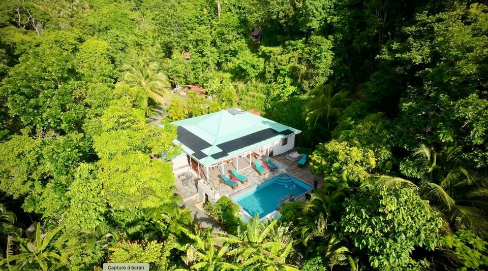 Bird's eye view, Garden