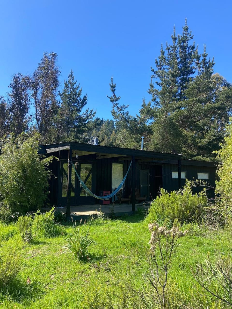 Casa Cuckoos Nest Puertecillo House in O'Higgins, Chile