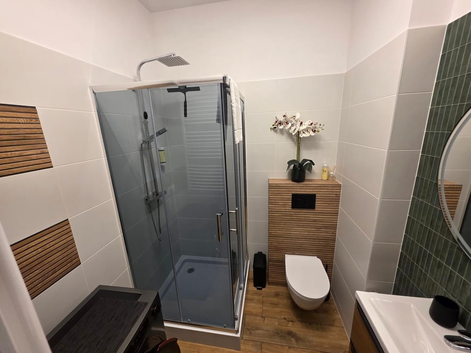 Apartament Pod Winnym Gronem z garażem Apartment in Poland