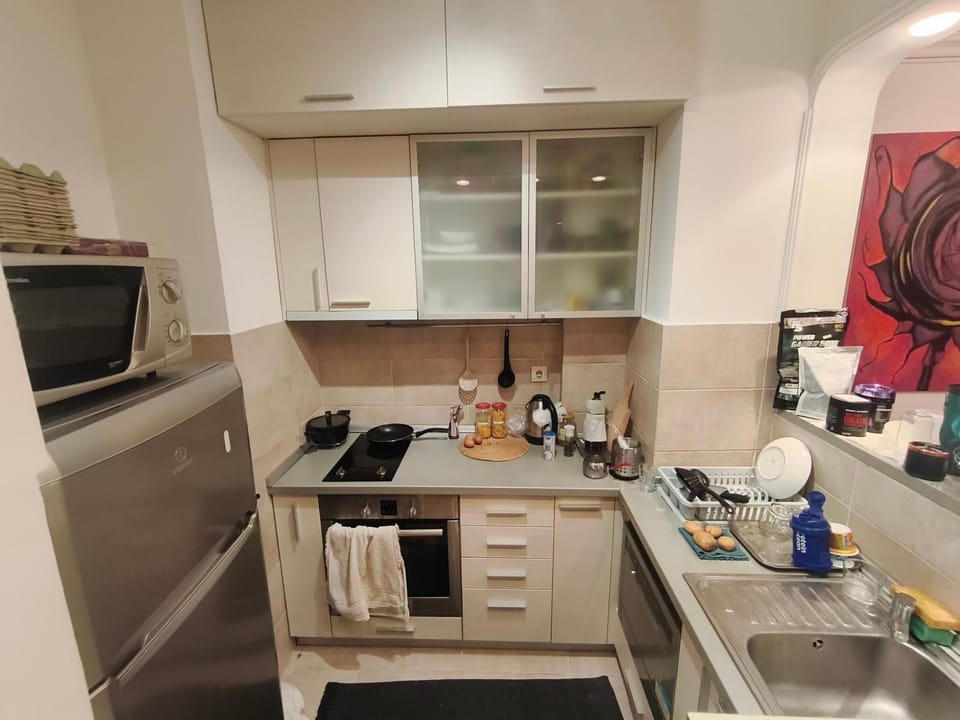 Coffee/tea facilities, Kitchen or kitchenette, dishwasher, minibar, oven, stove