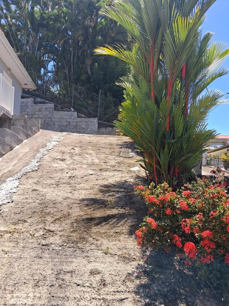 Calme et verdure pour ce logement spacieux Villa in Fort-de-France