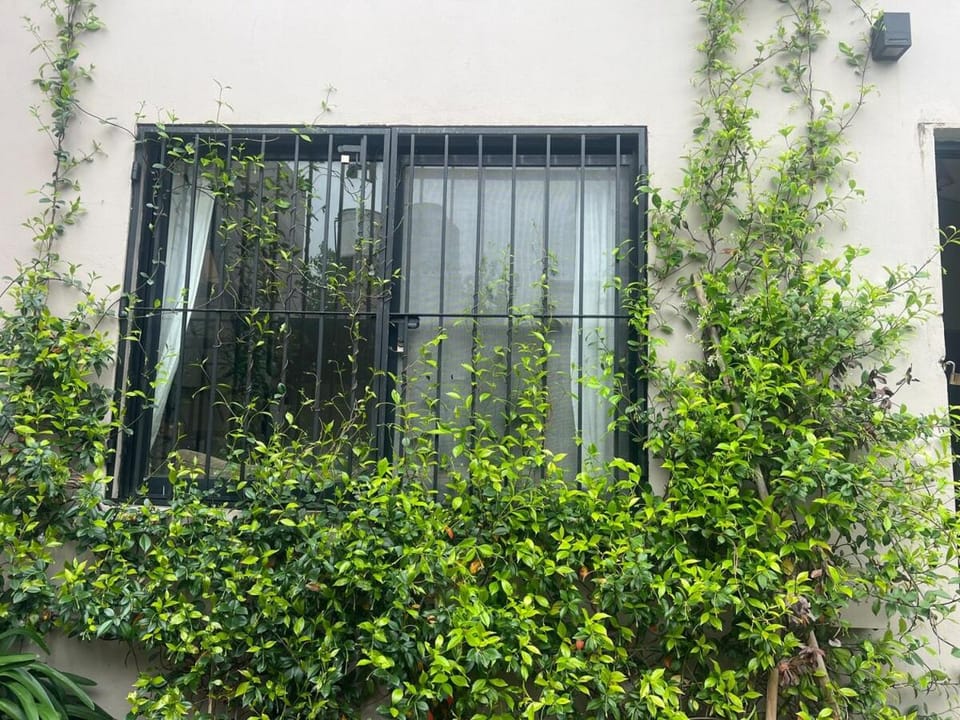 La Esquina de Carlos House in Chascomús