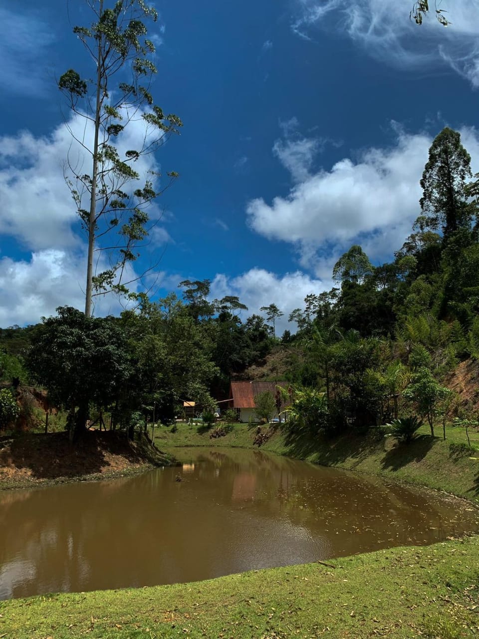 Lake view