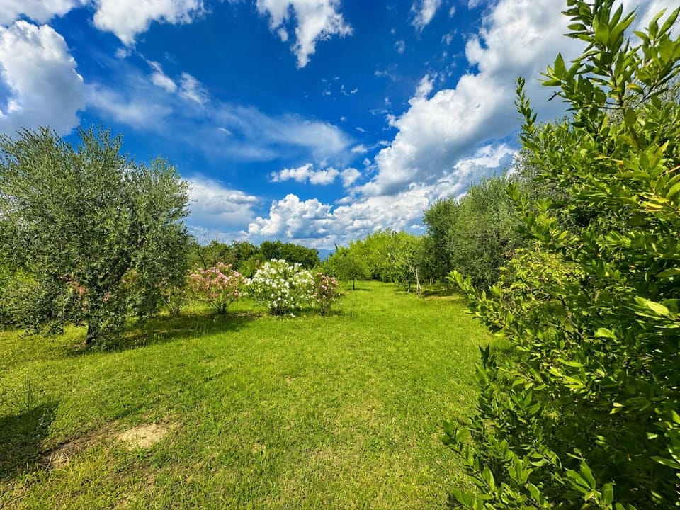Natural landscape