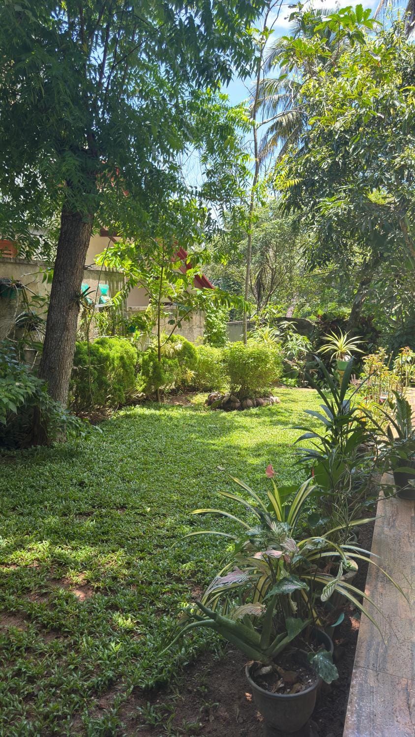 Beachside Green Homestay Vacation rental in Kamburugamuwa