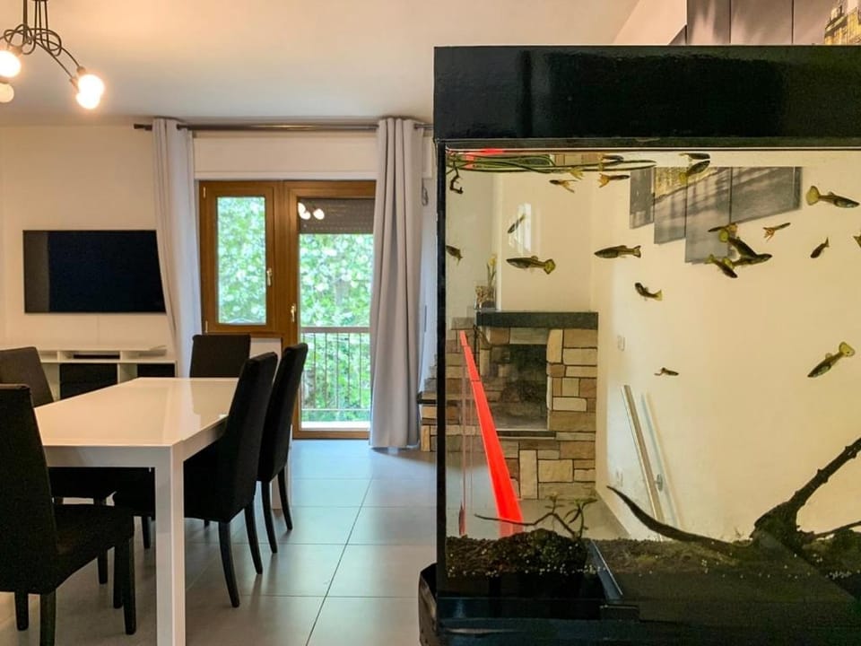 Communal lounge/ TV room, TV and multimedia, Dining area