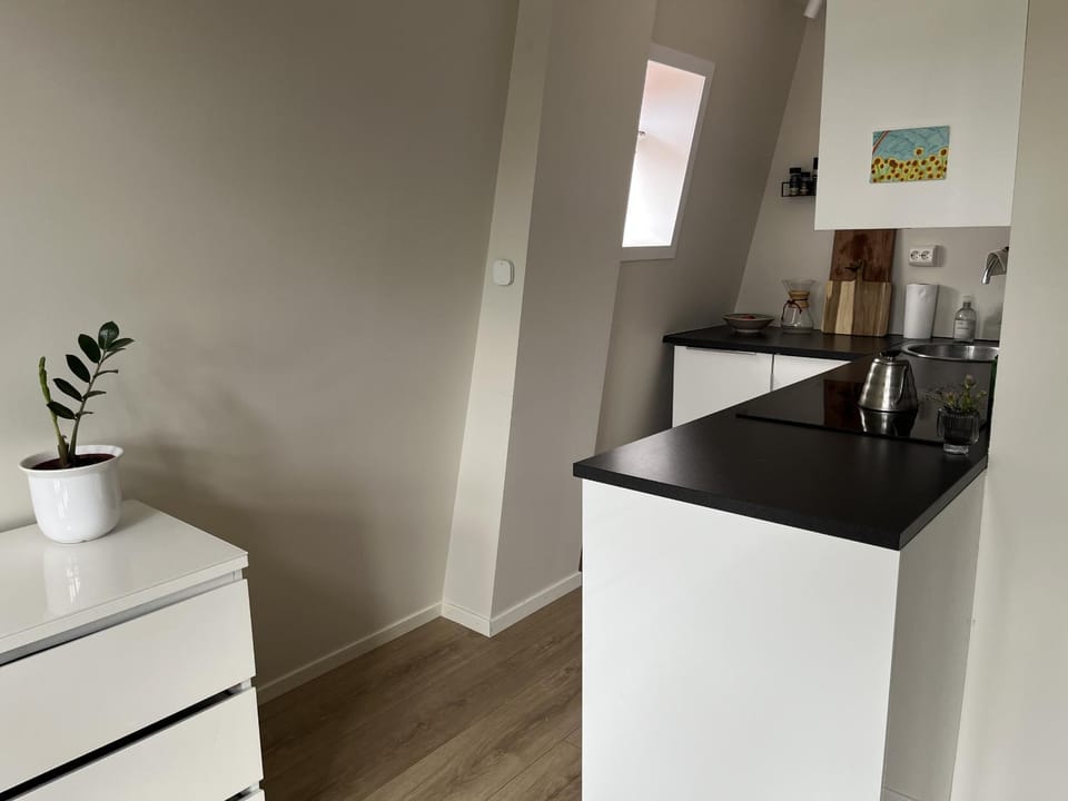 Kitchen or kitchenette, stove