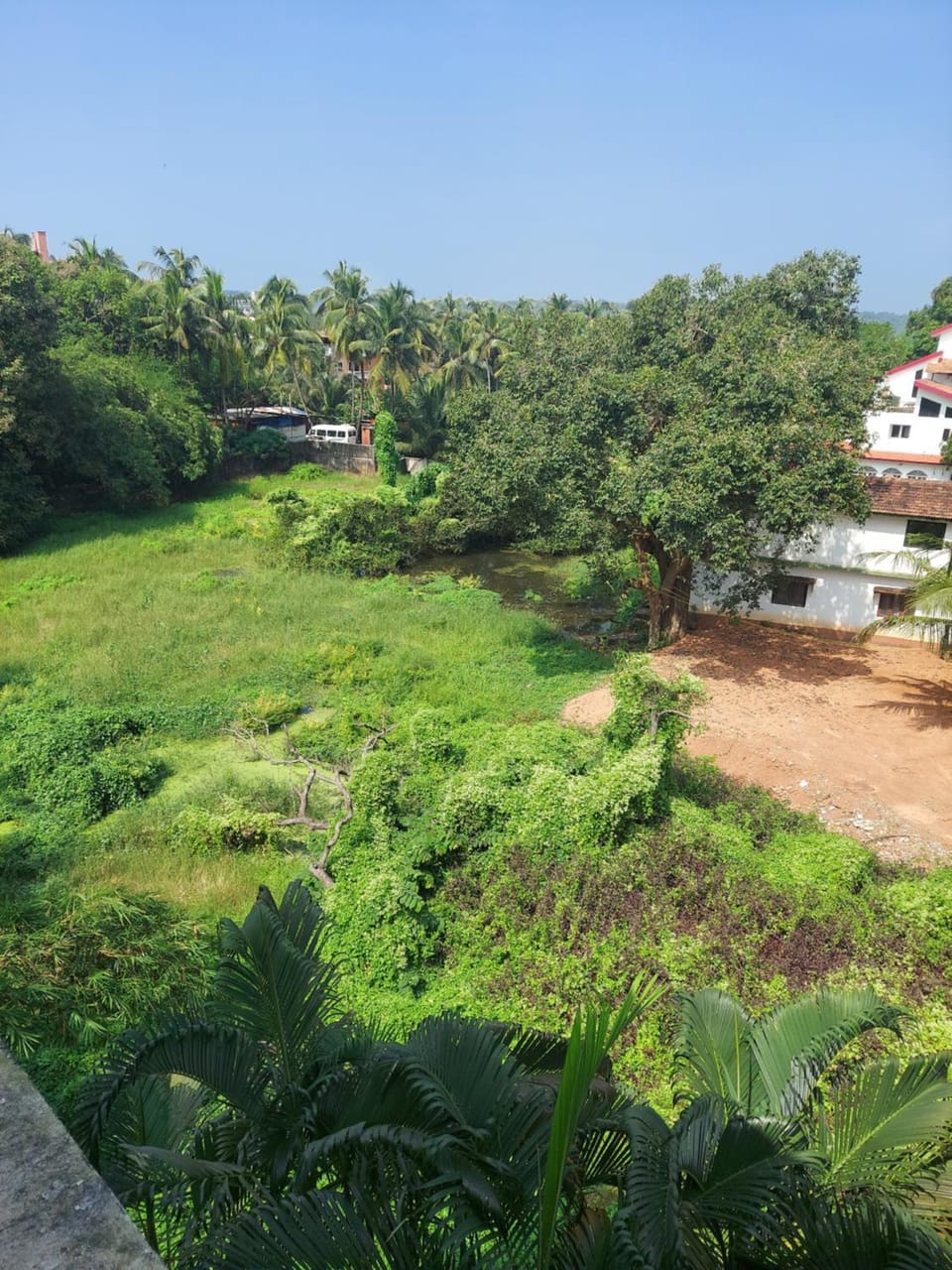 View (from property/room)