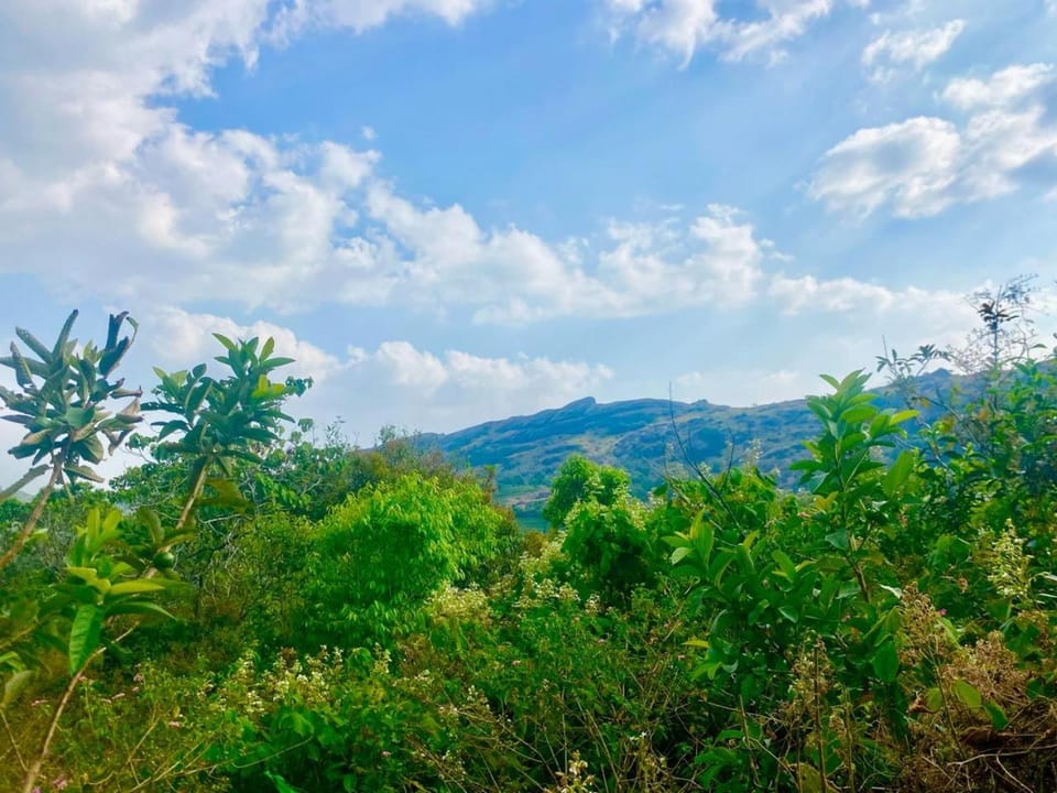 Wood vally Vacation rental in Kerala