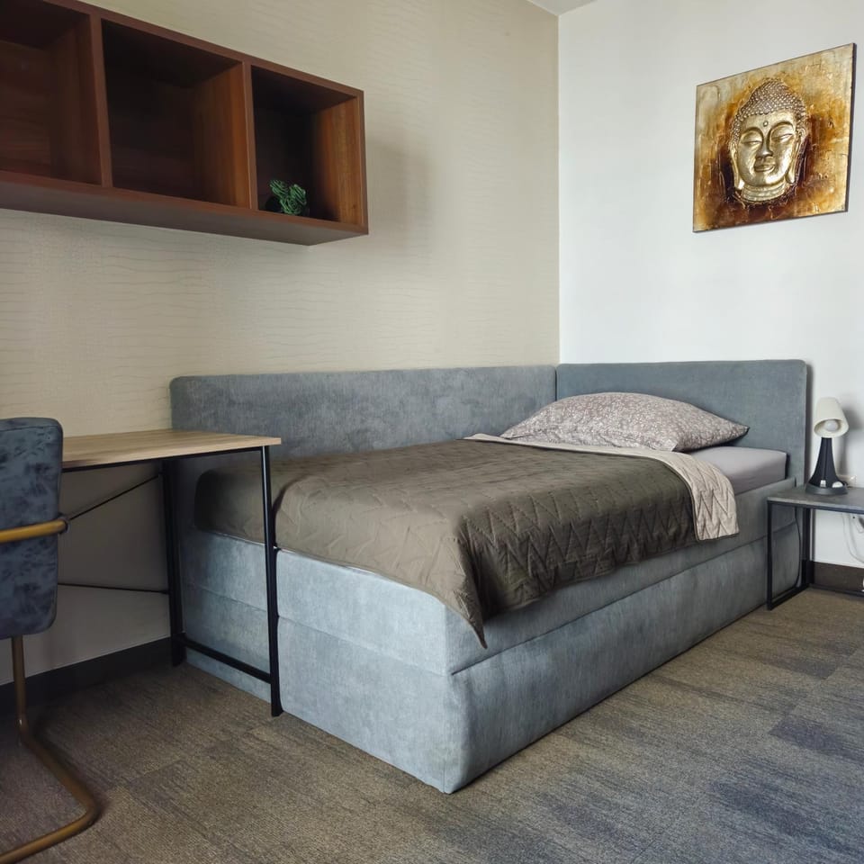 BRAUN APARTMENT CENTRUM & 24h self check-in with private parking Apartment in Slovakia