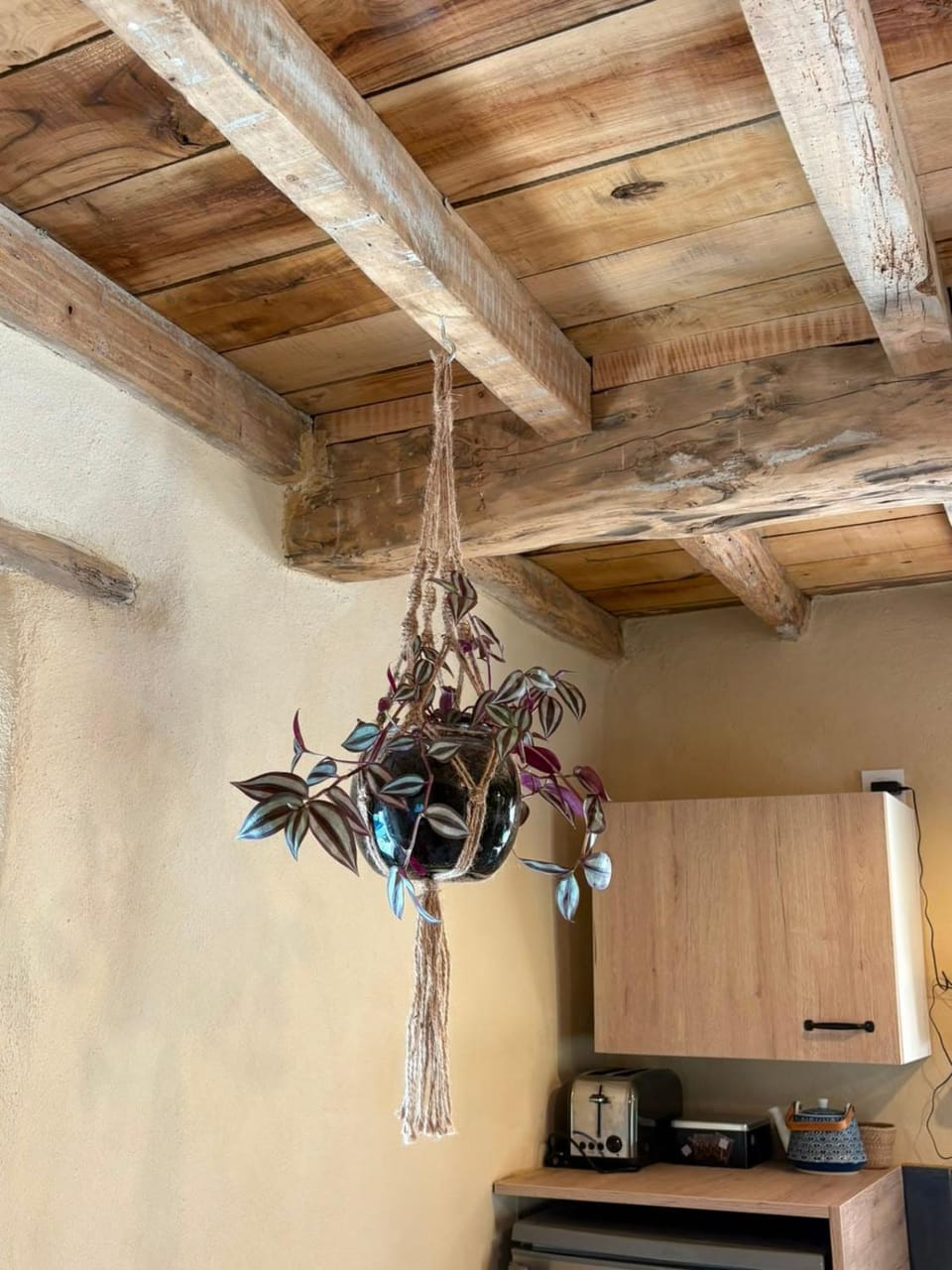 Le Petit Rivalou Cottage Grazac Tarn House in Occitanie