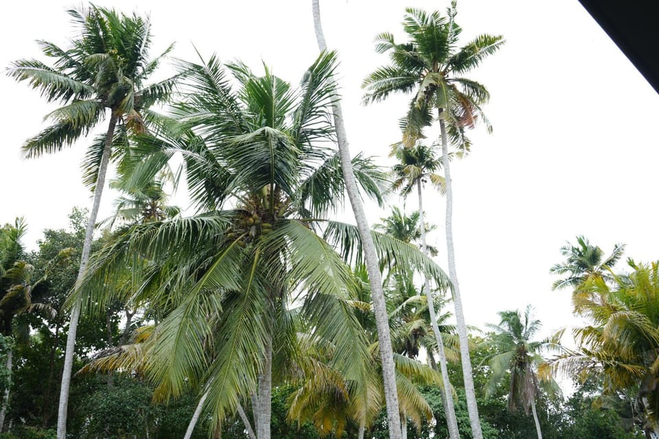 Lakeside Aurila Vacation rental in Thiruvananthapuram