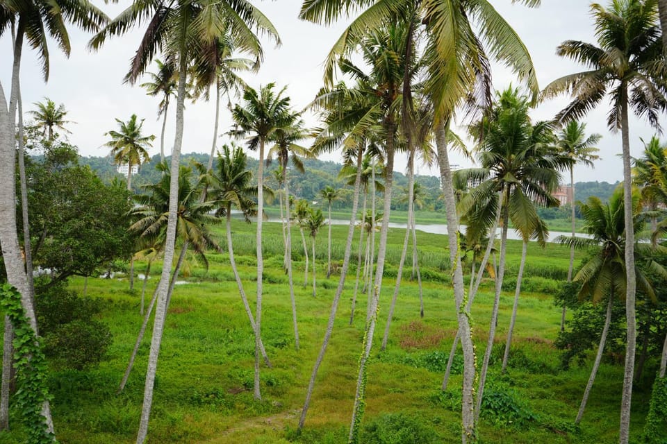 Lakeside Aurila Vacation rental in Thiruvananthapuram