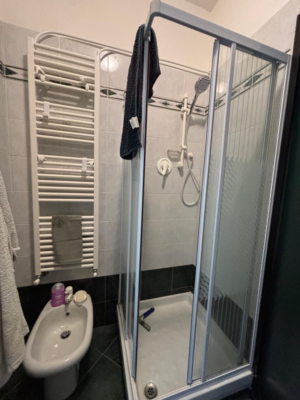 Condominio Ravezza, intero appartamento, posto auto , giardino esterno Apartment in Celle Ligure