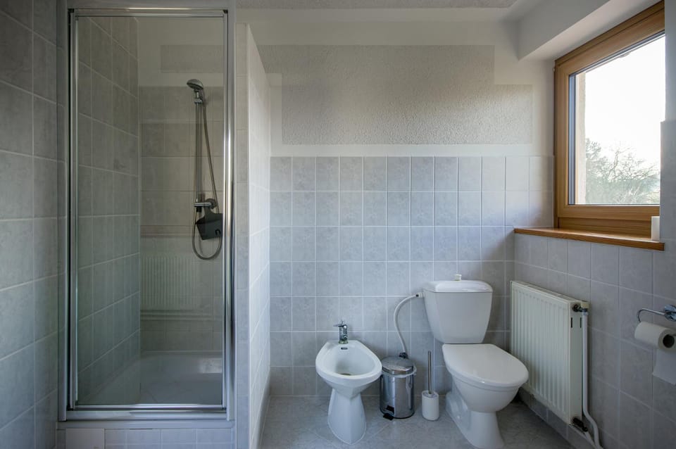 Shower, Toilet, Bathroom, bidet