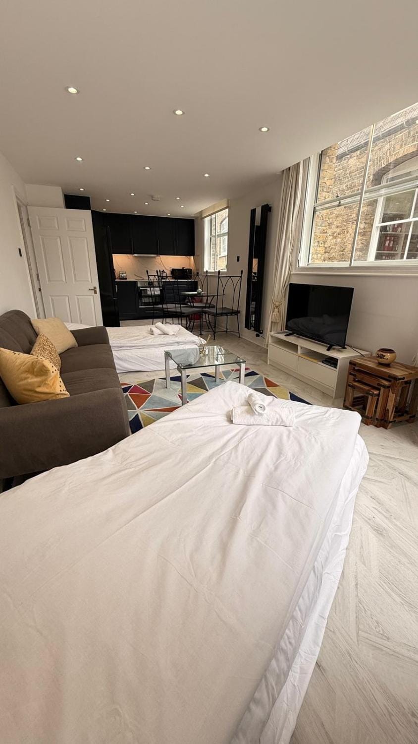 Bed, TV and multimedia, Kitchen or kitchenette, Living room, Photo of the whole room, Seating area