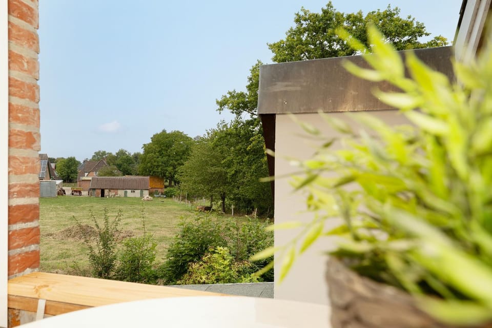 Field Lounge Apartment in Grömitz
