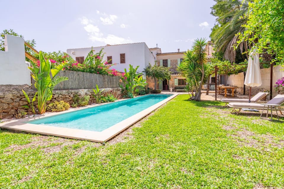 Patio, Garden, Garden view