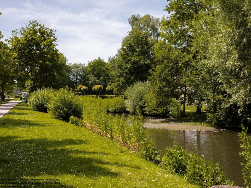 Natural landscape
