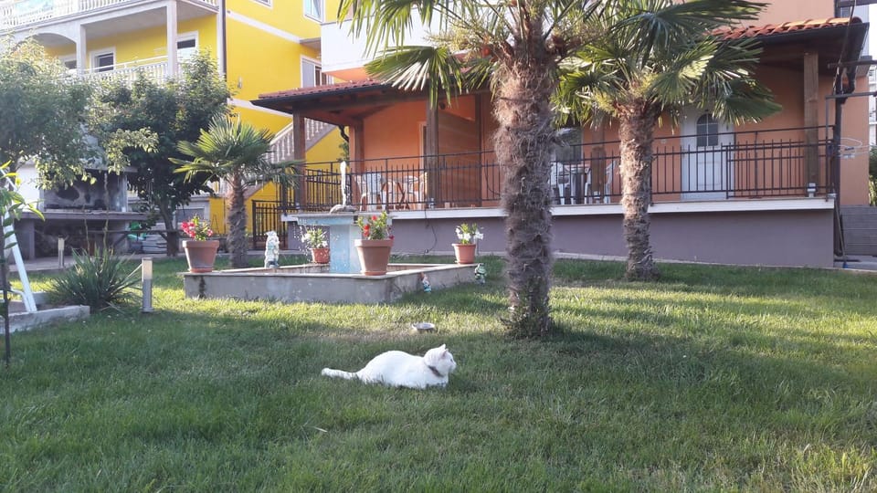 Property building, Pets