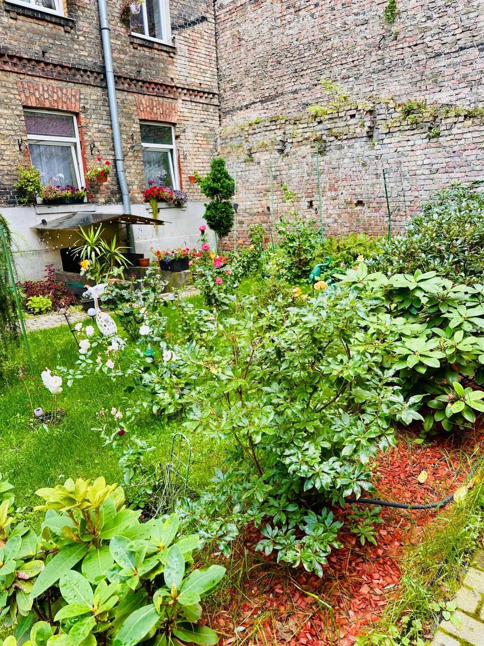 Garden, Garden view