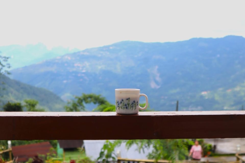 Mountain view